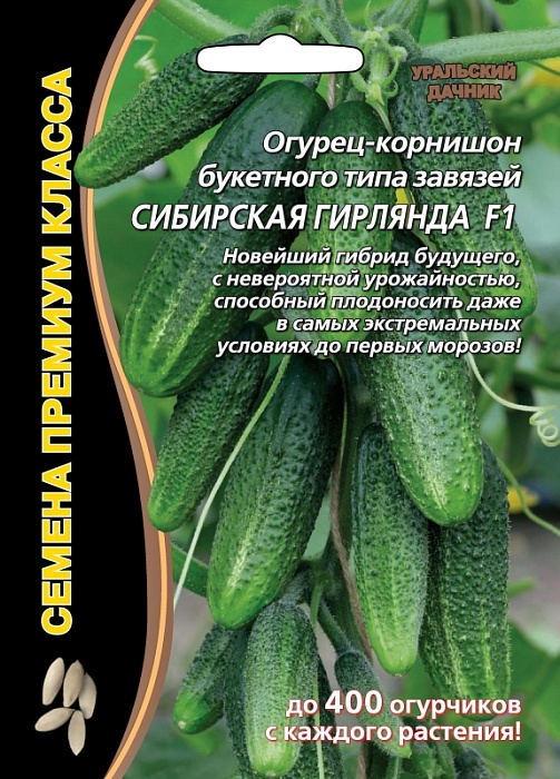 картинка Огурец Сибирская гирлянда F1 5шт ц/п (УД) скороспелый,не перерастают,5-8см. магазин Одежда+ являющийся официальным дистрибьютором в России 