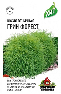 Кохия Грин Форест (веничная) 0,2г лид/п (Гавриш) ХИТх3 