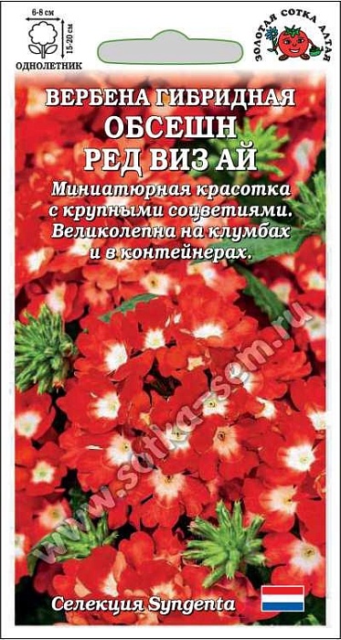 картинка Вербена Обсешн Ред Виз Ай 5шт ц/п (З/Сотка) магазин Одежда+ являющийся официальным дистрибьютором в России 