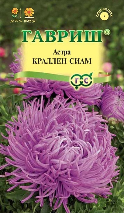 картинка Астра Краллен Сиам 0,3г ц/п (Гавриш) лиловая магазин Одежда+ являющийся официальным дистрибьютором в России 