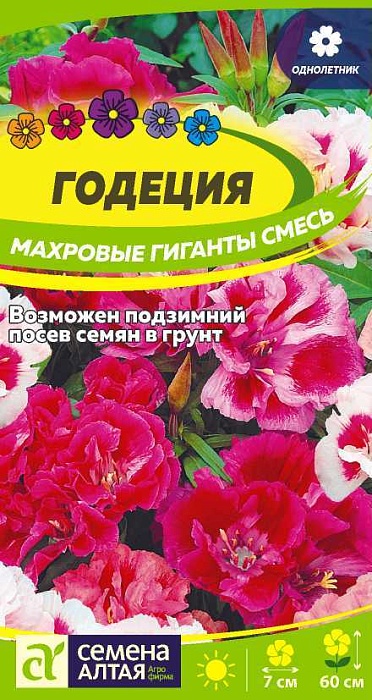 картинка Годеция Махровые гиганты смесь ц/п (СемАлт) магазин Одежда+ являющийся официальным дистрибьютором в России 