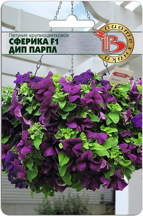 картинка Петуния Сферика F1 Дип Парпл 10шт (Биотехника) магазин Одежда+ являющийся официальным дистрибьютором в России 