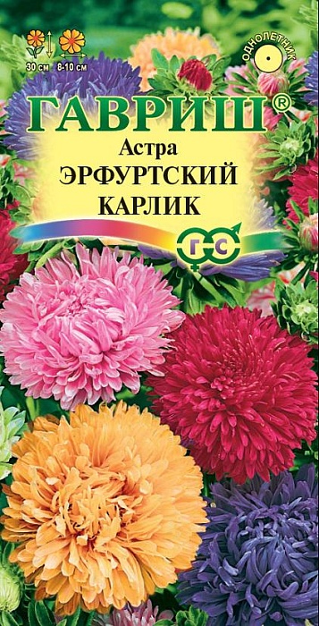картинка Астра Эрфуртский карлик, смесь 0,3г ц/п (Гавриш) 30см магазин Одежда+ являющийся официальным дистрибьютором в России 