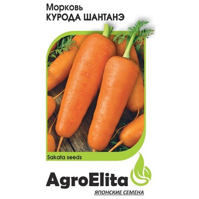 Морковь Курода Шантанэ 1г (Агроэлита)