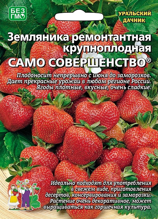 картинка Земляника Само совершенство 10шт ц/п б/ф (УД) ремонтантная магазин Одежда+ являющийся официальным дистрибьютором в России 