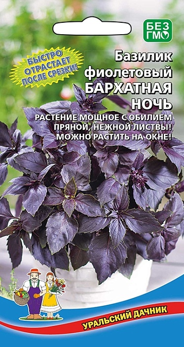 картинка Базилик Бархатная ночь 0,25г ц/п (УД) фиолетовый магазин Одежда+ являющийся официальным дистрибьютором в России 
