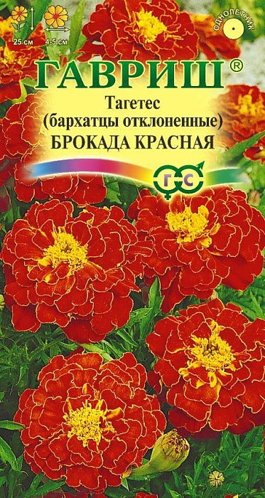 картинка Бархатцы Брокада красная 0,3г ц/п (Гавриш) 25см, 4-5см  магазин Одежда+ являющийся официальным дистрибьютором в России 
