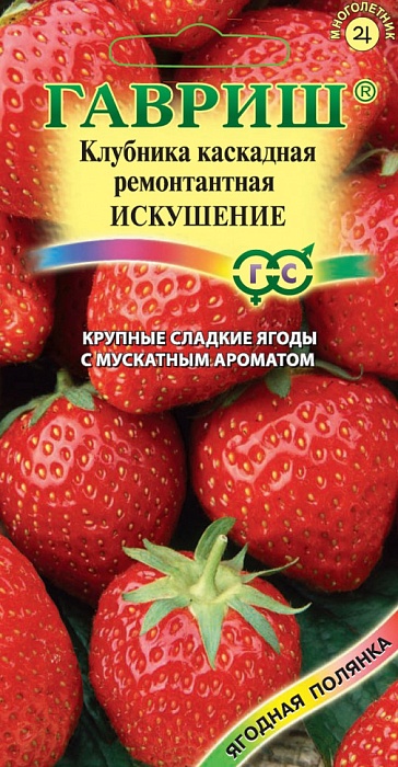 картинка Земляника Искушение F1 10шт ц/п (Гавриш) ампельная магазин Одежда+ являющийся официальным дистрибьютором в России 