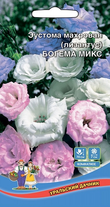 картинка Эустома Богема Микс 5шт ц/п (УД) махровая магазин Одежда+ являющийся официальным дистрибьютором в России 