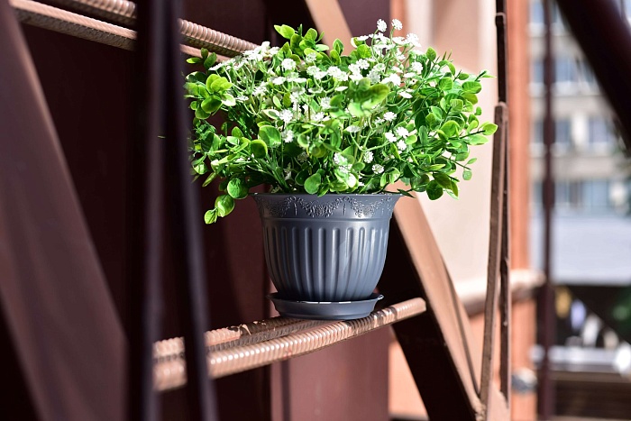 картинка Кашпо Виноград 19 с/п 1,6л антрацит (Техпласт) магазин Одежда+ являющийся официальным дистрибьютором в России 