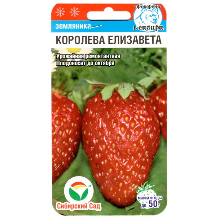 картинка Земляника Королева Елизавета 10шт (СибСад) магазин Одежда+ являющийся официальным дистрибьютором в России 